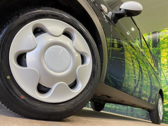 22449355_carP_l_7.jpg
