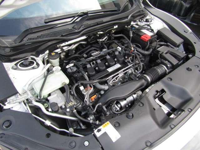 21812649_carP_l_16.jpg