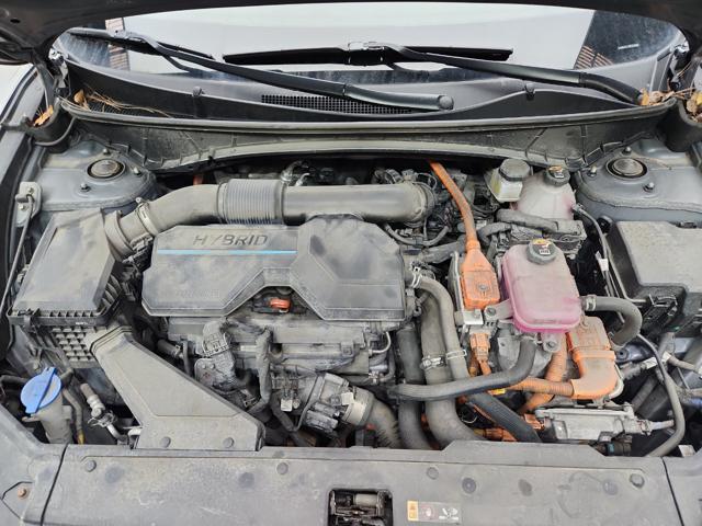 lotterental_214340625_oj8QC_9.jpg