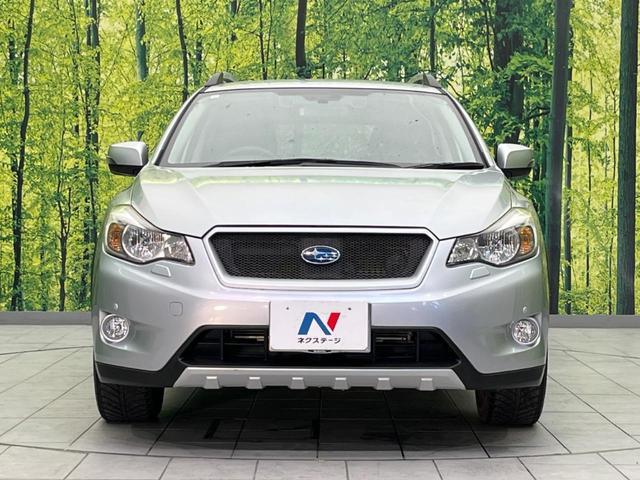 21690051_carP_l_9.jpg