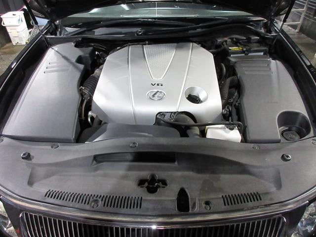 19021709_carP_l_20.jpg