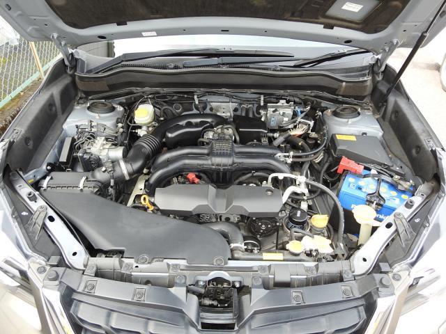 22453693_carP_l_19.jpg