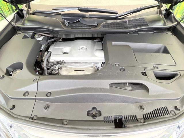 23093893_carP_l_16.jpg
