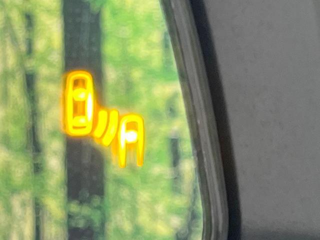 20956758_carP_l_14.jpg