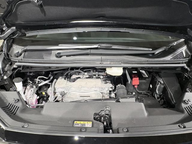 21302921_carP_l_19.jpg