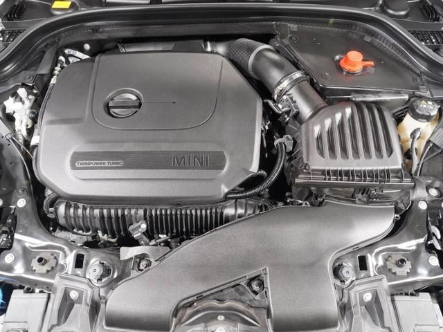 19641152_carP_l_14.jpg