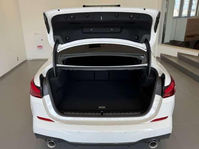 17588152_carP_l_17.jpg