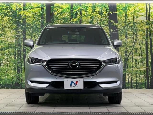 17396850_carP_l_8.jpg