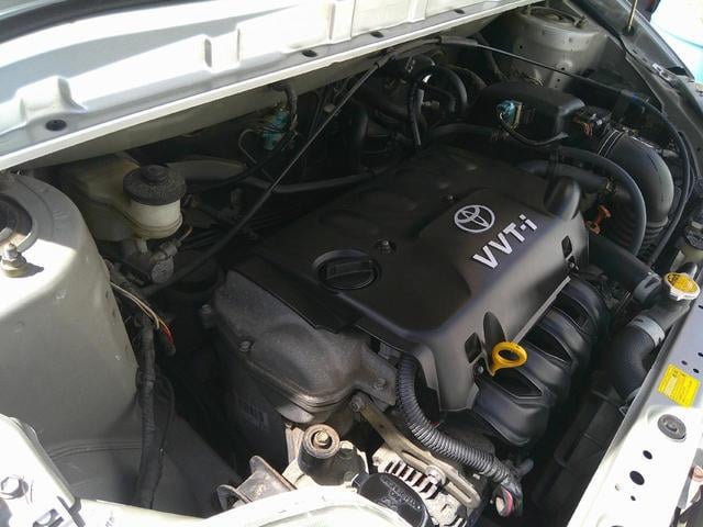 0602097A30250918W00208.jpg