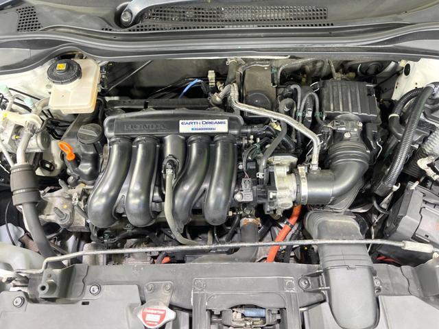 19944590_carP_l_16.jpg