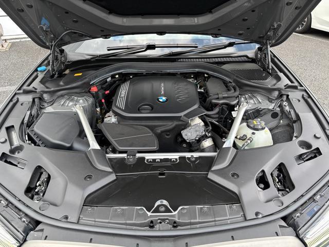 23015430_carP_l_18.jpg