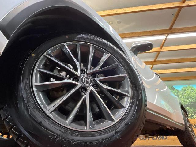 23130426_carP_l_7.jpg
