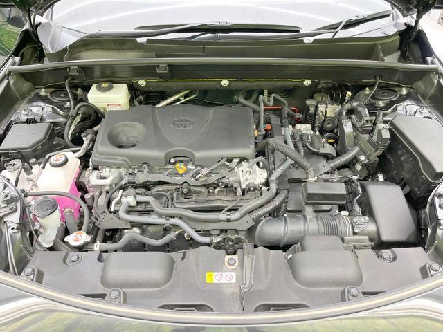 23149107_carP_l_16.jpg