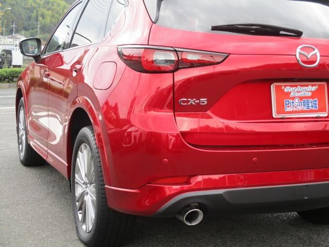 d1e0ece54ca93effb551a5a38ecf26e8.jpg