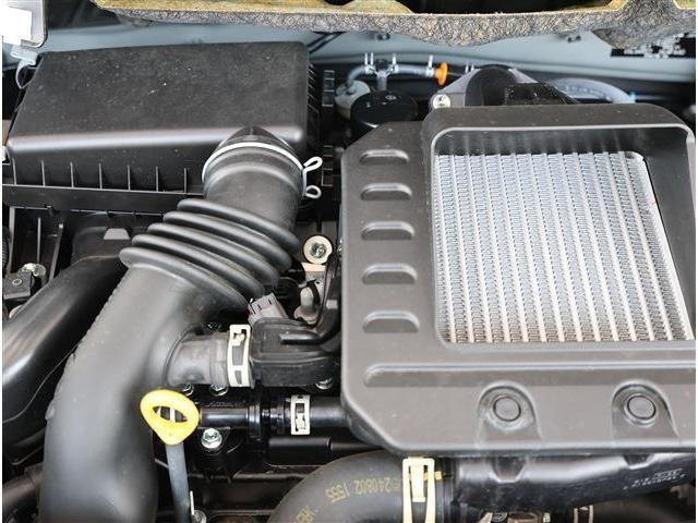 22530900_carP_l_18.jpg