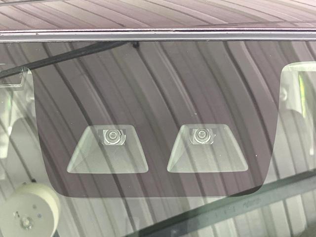 21966669_carP_l_15.jpg