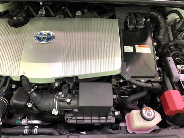 20054900_carP_l_16.jpg