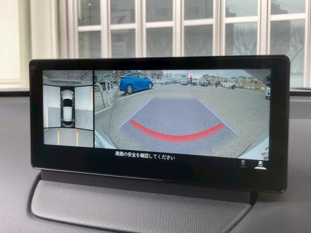 22492111_carP_l_10.jpg