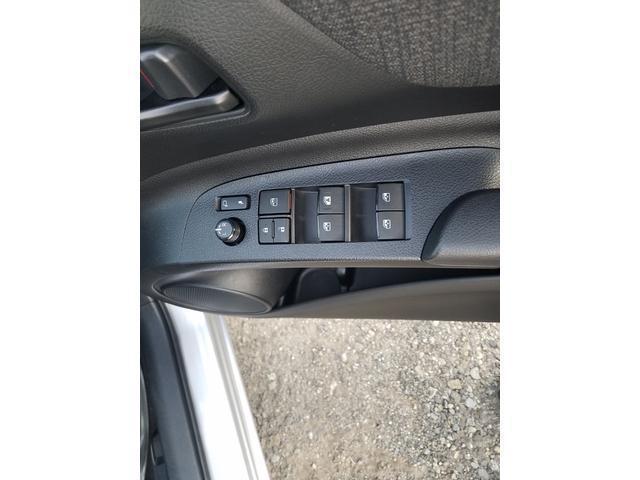21126355_carP_l_6.jpg