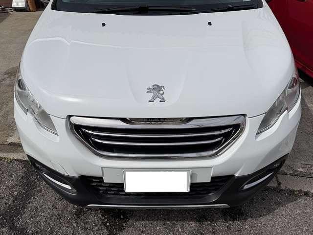 23221553_carP_l_11.jpg