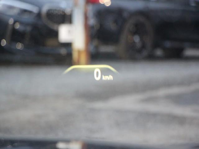 21175010_carP_l_10.jpg