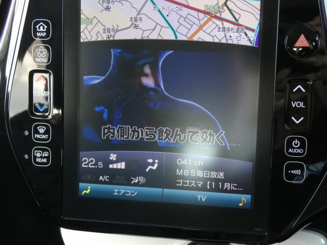 20419855_carP_l_11.jpg