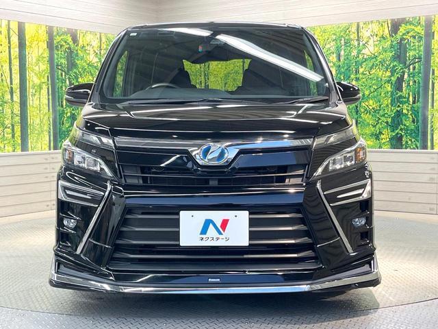 21583327_carP_l_9.jpg