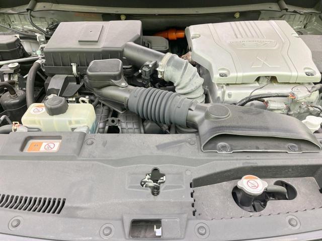 21764876_carP_l_16.jpg