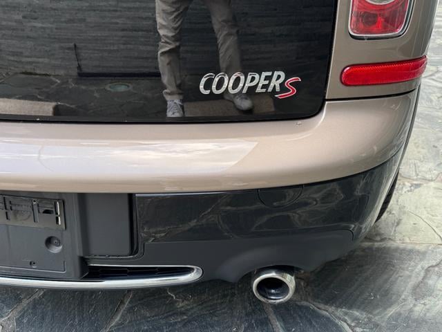 17393304_carP_l_8.jpg