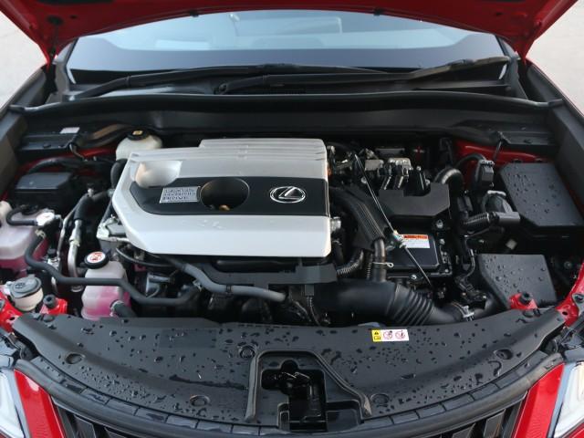 22804883_carP_l_17.jpg