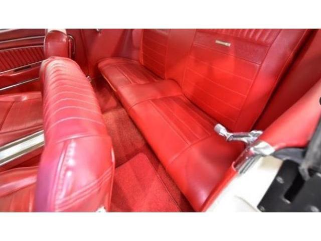 19766644_carP_l_10.jpg