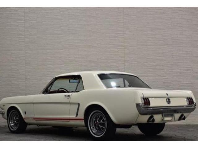 19766644_carP_l_3.jpg