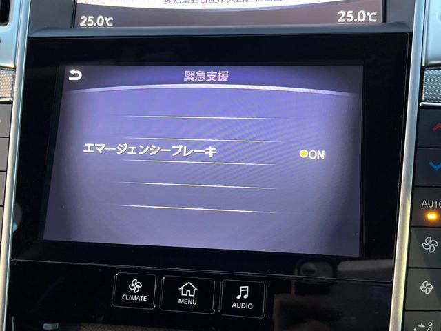 21853567_carP_l_17.jpg
