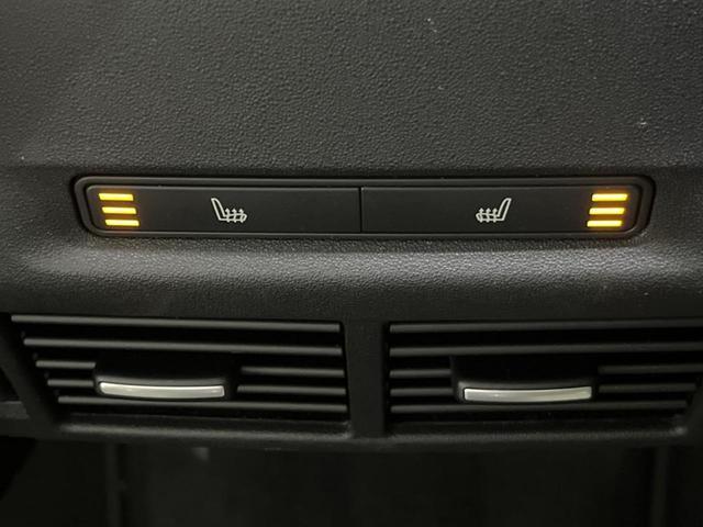 22132662_carP_l_13.jpg