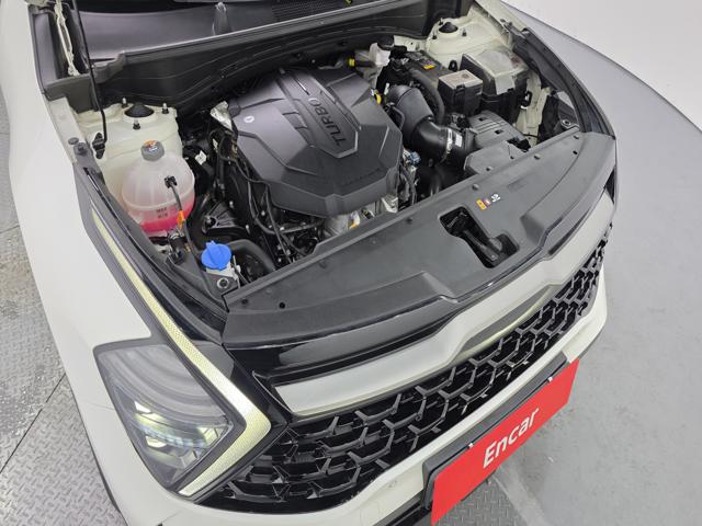 23cf4758d26044f0990dfdf34afab00b.jpeg