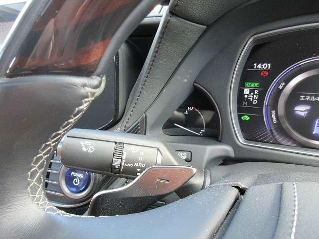 20541164_carP_l_5.jpg