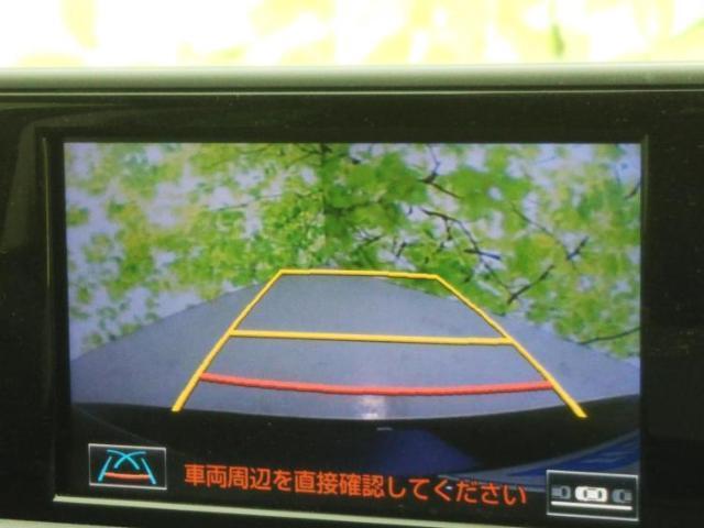 21003619_carP_l_6.jpg