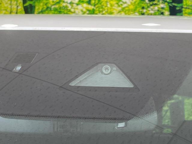 23207936_carP_l_15.jpg
