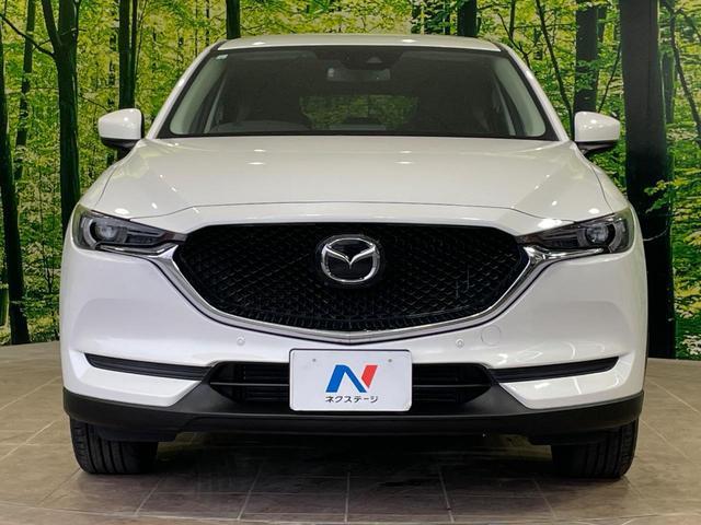 23207936_carP_l_8.jpg