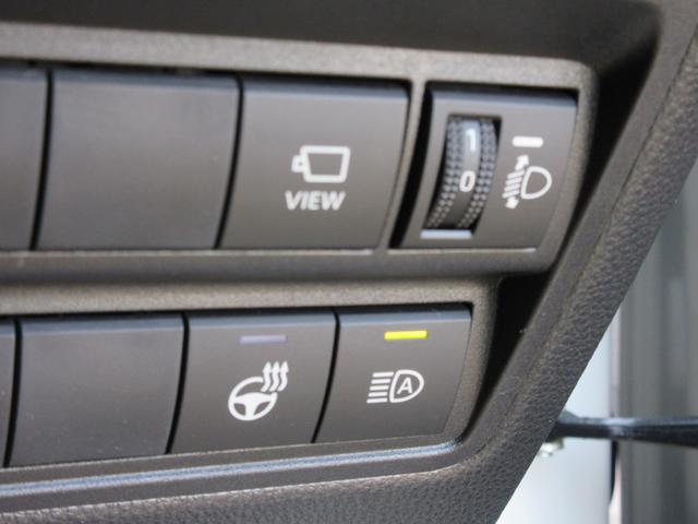 0600253A30260108W00108.jpg