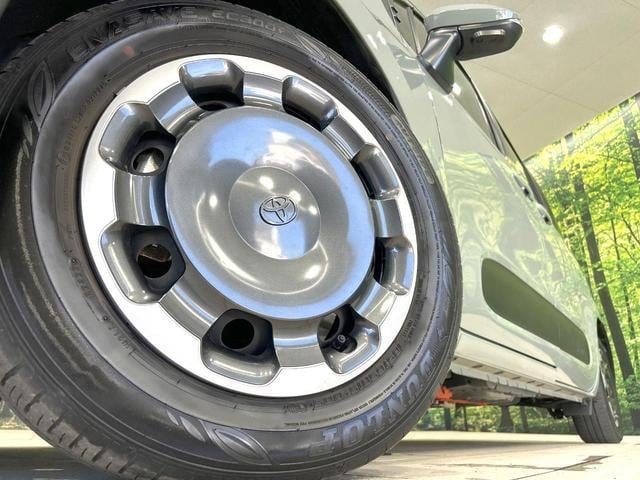 19898161_carP_l_8.jpg