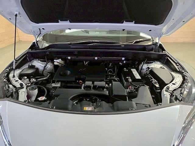 21446094_carP_l_7.jpg