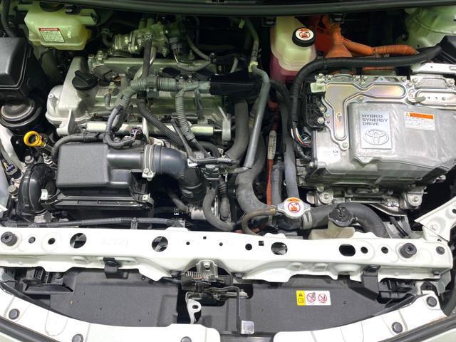 23053679_carP_l_16.jpg