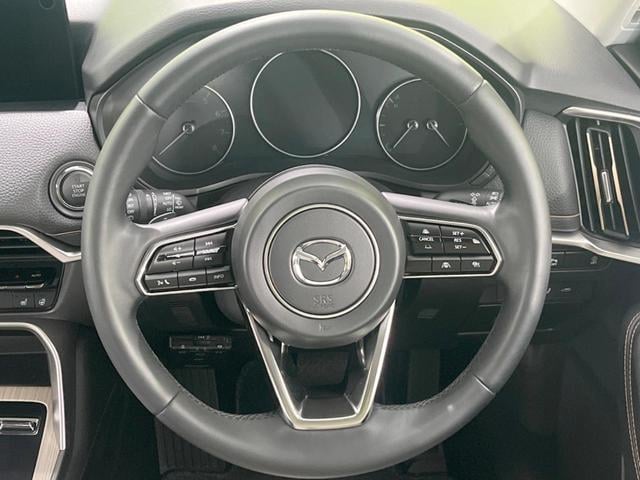 19040243_carP_l_5.jpg