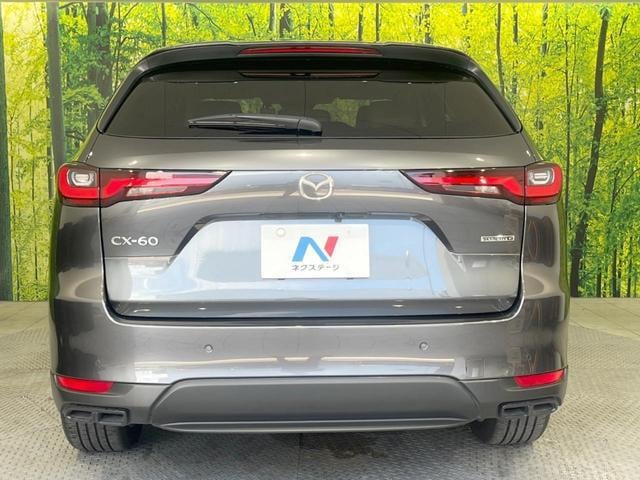 19040243_carP_l_9.jpg