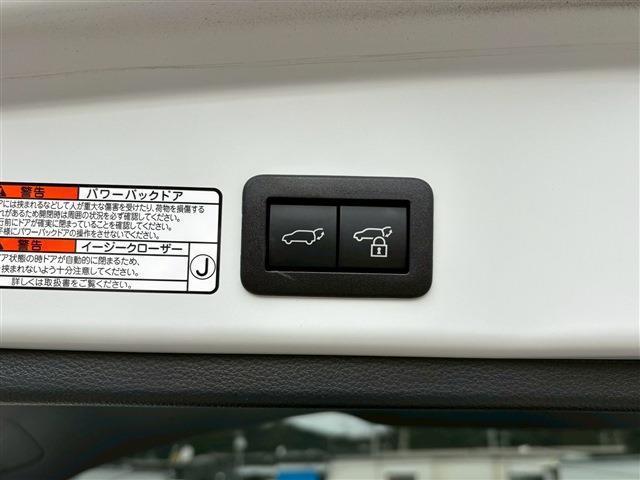 22052068_carP_l_8.jpg