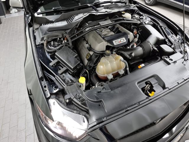 458d24afae421cf309c12778c328e181.jpeg