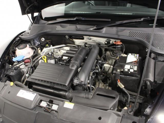 21364154_carP_l_20.jpg