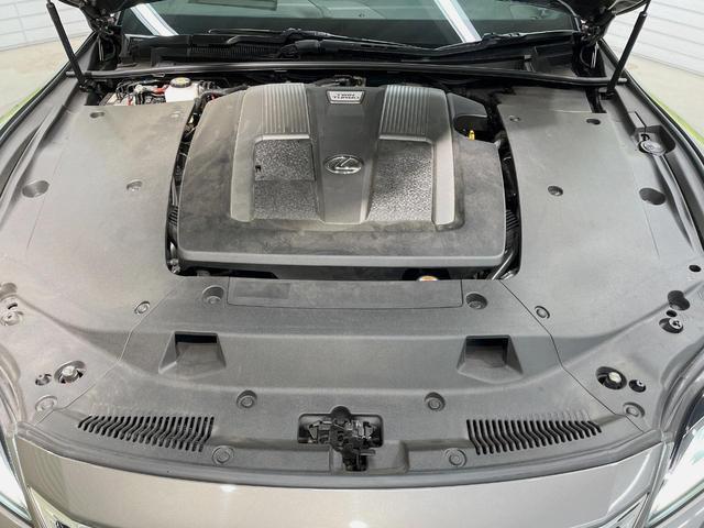 22057807_carP_l_16.jpg