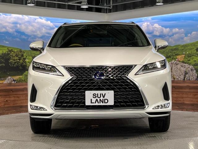 21620552_carP_l_9.jpg